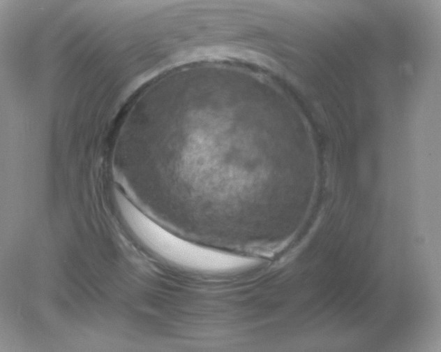 X0000082171497200702021713