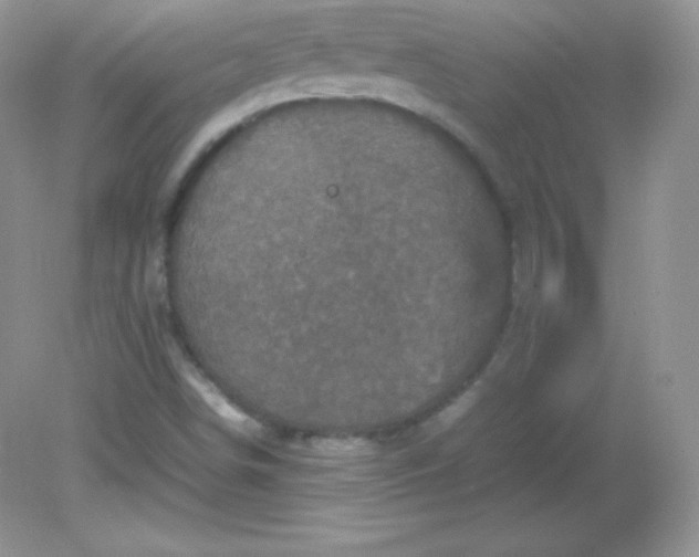 X0000082171498200702021713