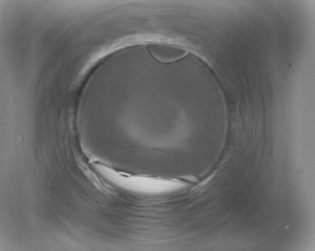 X0000082171499200702021713