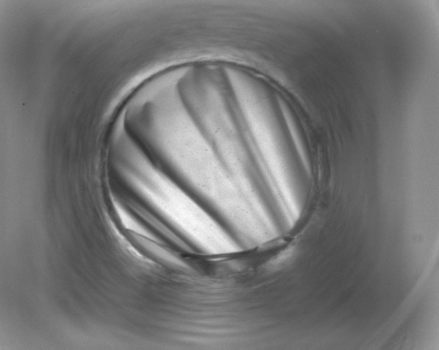 X0000082171500200702021713