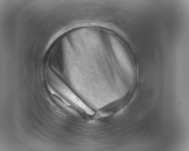 X0000082171501200702021713