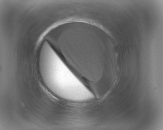 X0000082171502200702021713