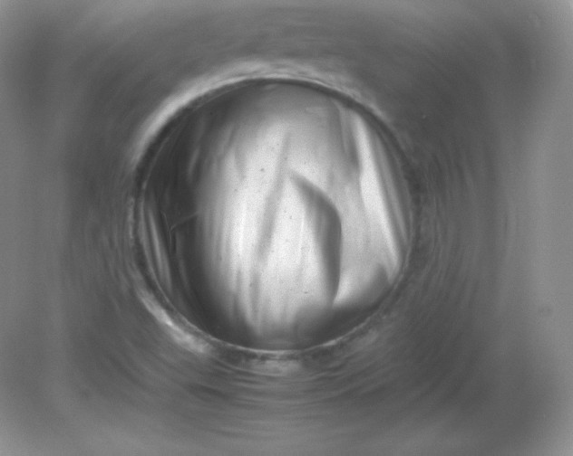 X0000082171503200702021713