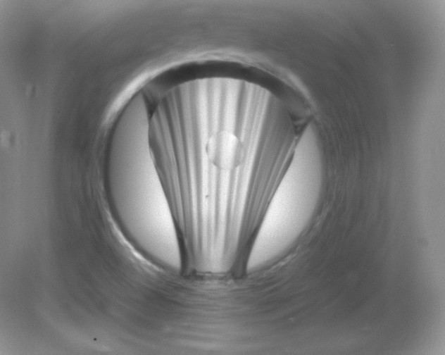 X0000082171504200702021713