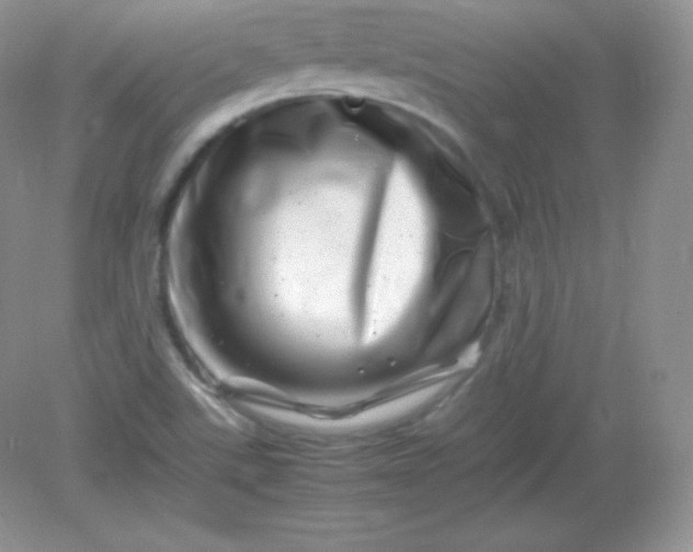 X0000082171507200702021713