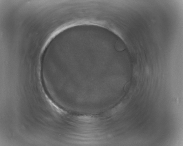 X0000082171508200702021713