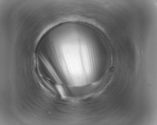 X0000082171509200702021713