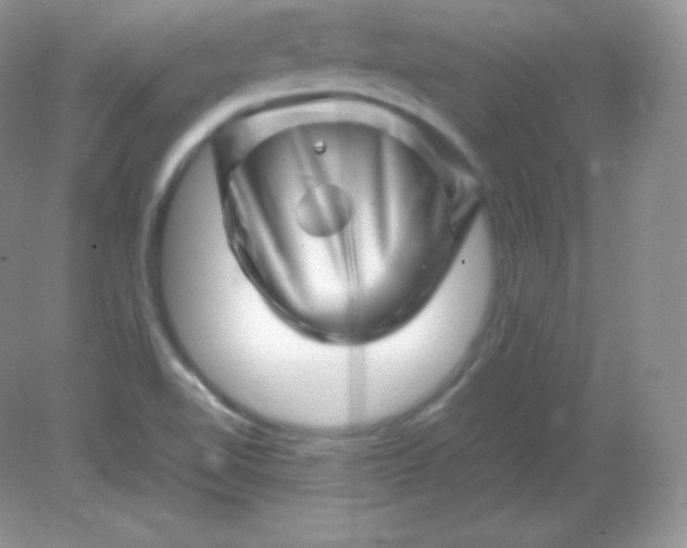 X0000082171510200702021713