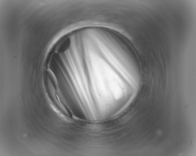 X0000082171511200702021713