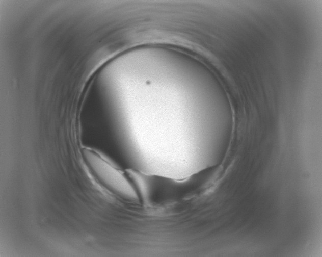 X0000082171513200702021713