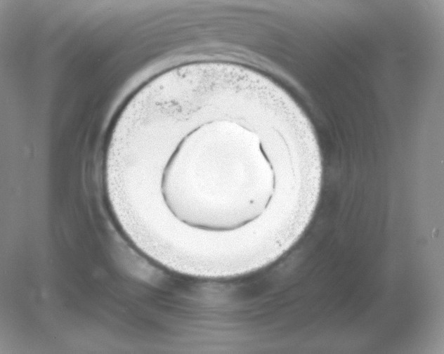 X0000082171514200702021713