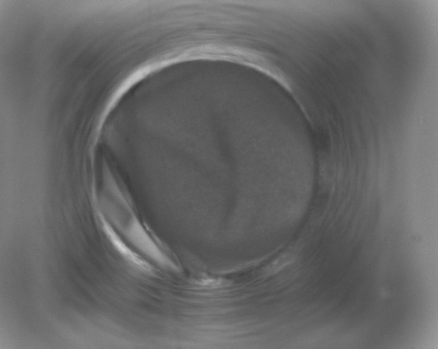 X0000082171515200702021713