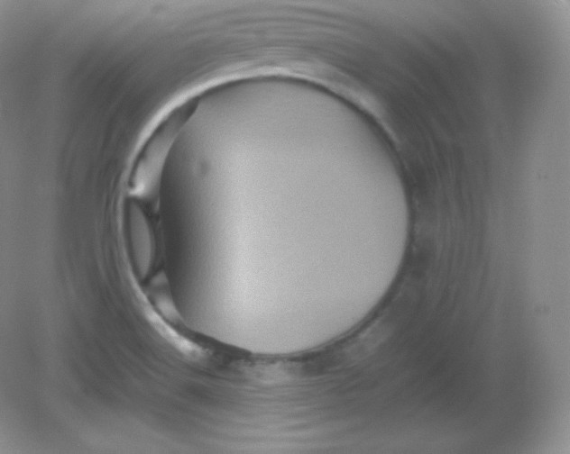 X0000082171516200702021713