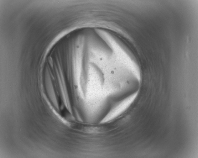 X0000082171517200702021713