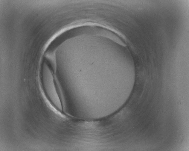 X0000082171518200702021713