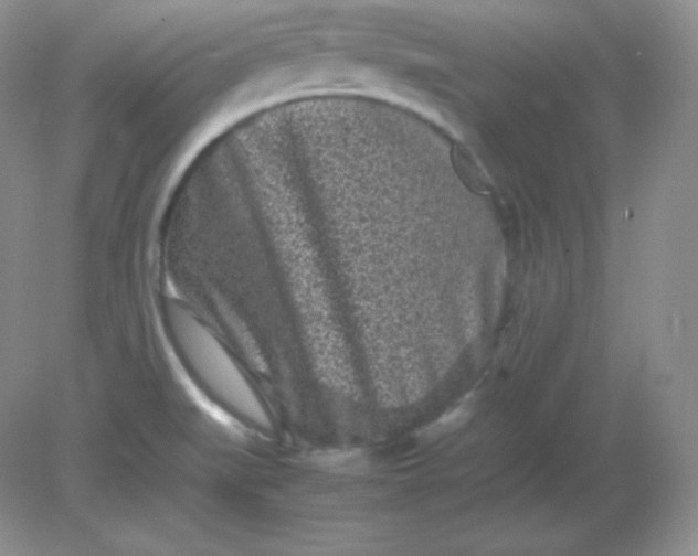 X0000082171519200702021713