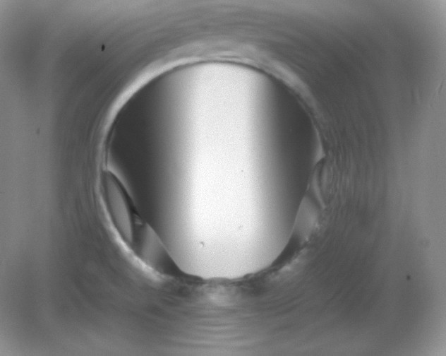 X0000082171520200702021713