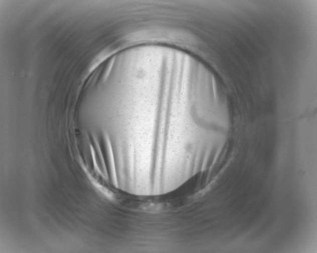 X0000082171521200702021713