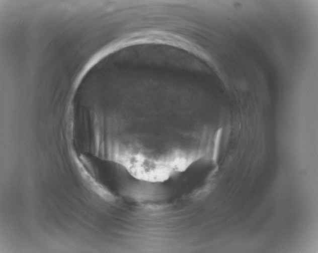 X0000082171522200702021713