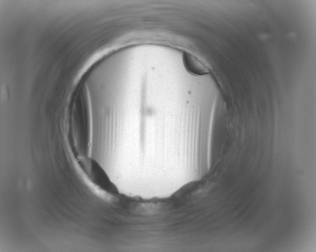 X0000082171523200702021713