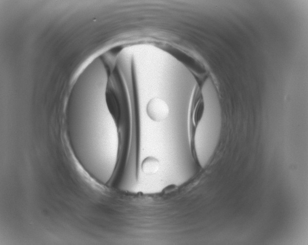 X0000082171524200702021713