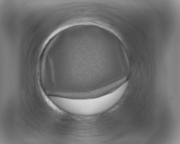 X0000082171526200702021713