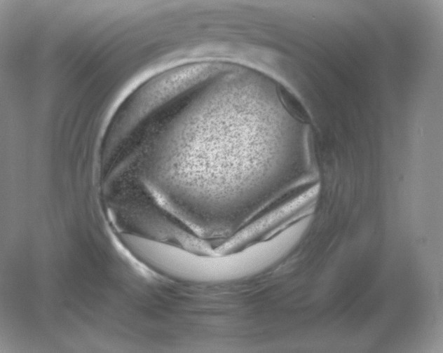 X0000082171527200702021713