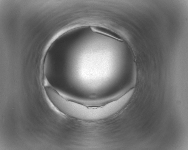 X0000082171528200702021713