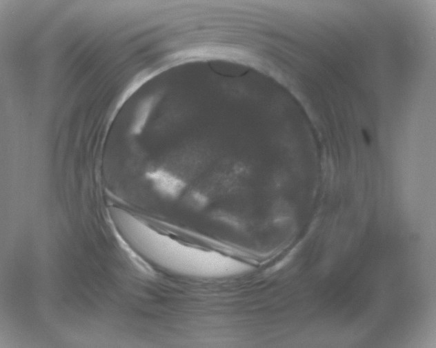 X0000082171529200702021713