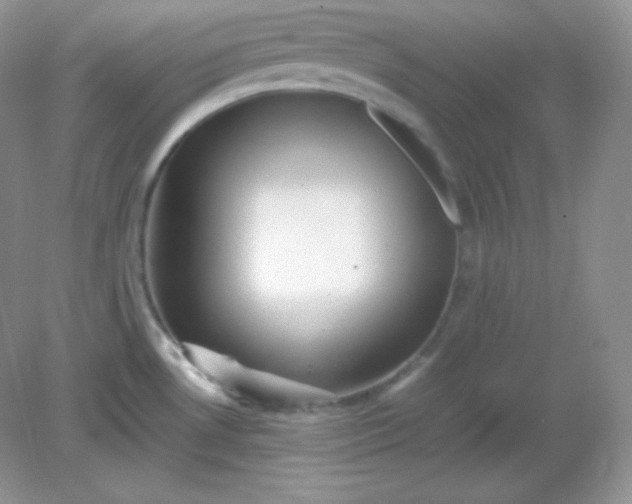 X0000082171530200702021713