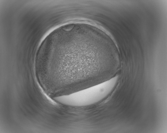 X0000082171533200702021713