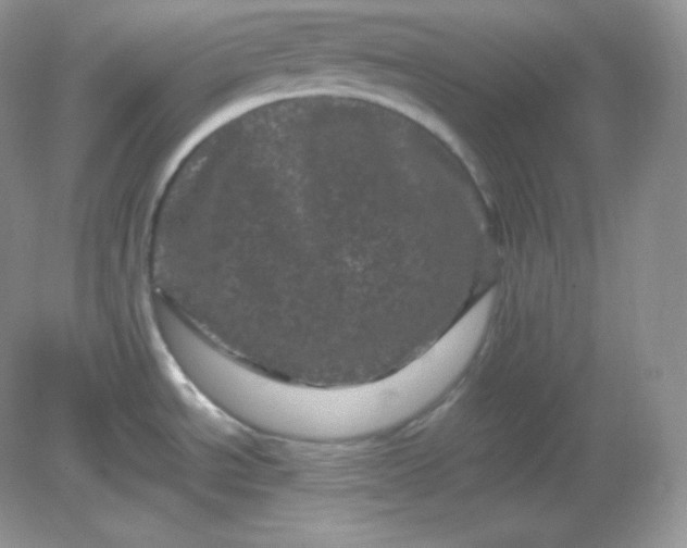 X0000082171534200702021713