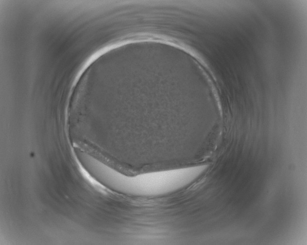 X0000082171535200702021713