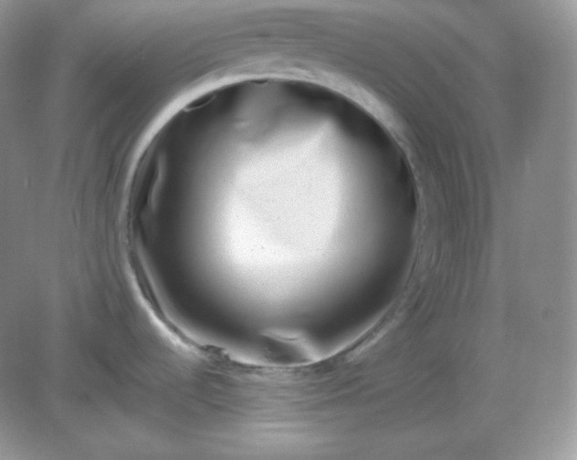 X0000082171536200702021714