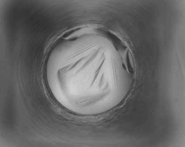 X0000082170001200702092255