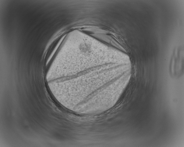 X0000082170004200702092255