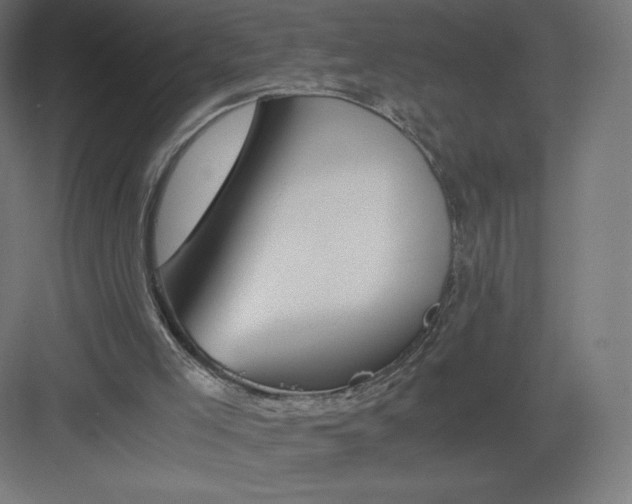 X0000082170005200702092255