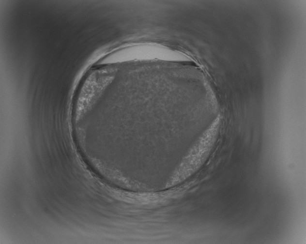 X0000082170006200702092255