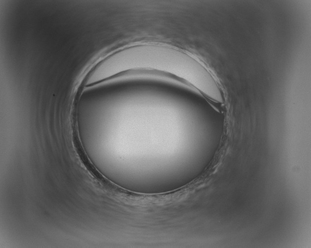 X0000082170007200702092255