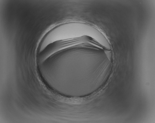 X0000082170008200702092255