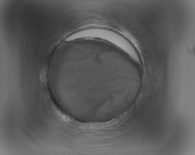 X0000082170009200702092255