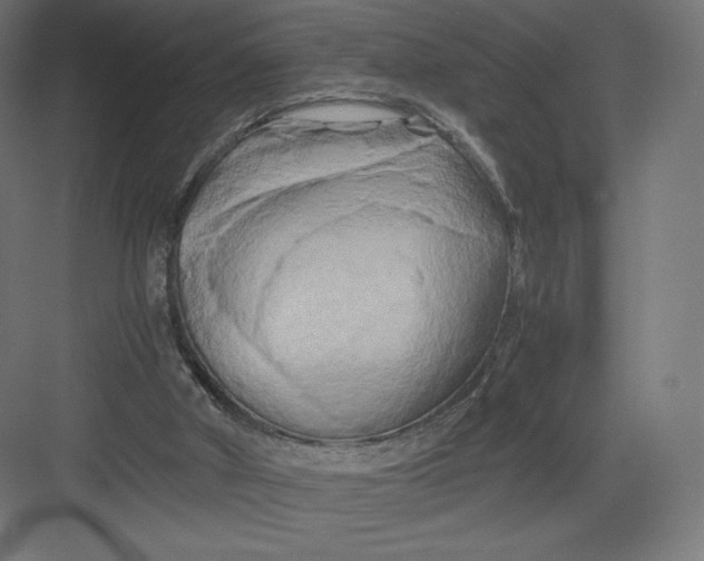 X0000082170010200702092255