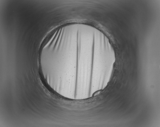 X0000082170011200702092255