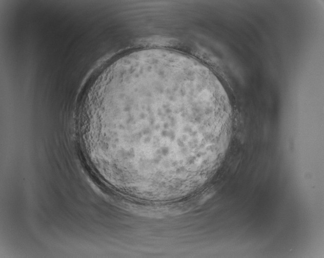 X0000082170012200702092255