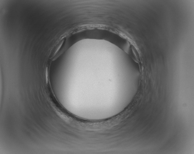 X0000082170013200702092255