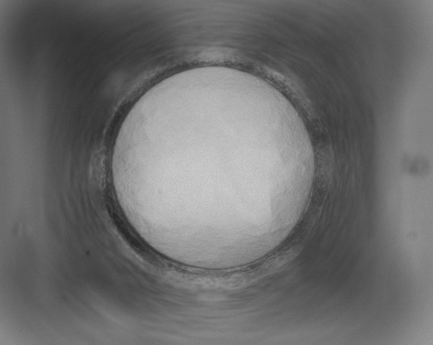 X0000082170016200702092255