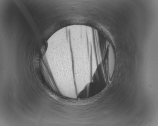 X0000082170017200702092255