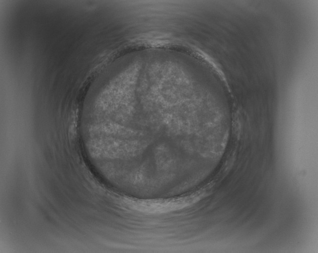 X0000082170018200702092255