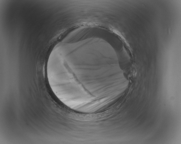 X0000082170019200702092255