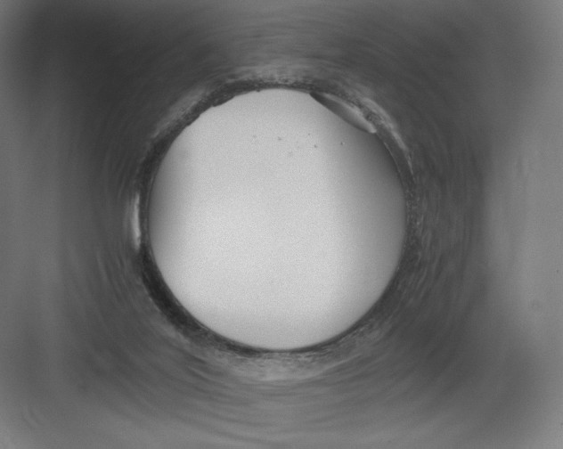 X0000082170020200702092255